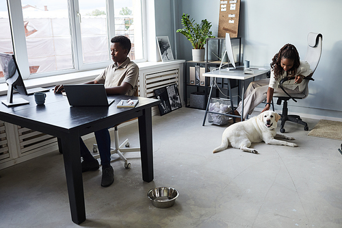 Wide angle view at African-American woman petting dog while working in pet friendly office, copy space