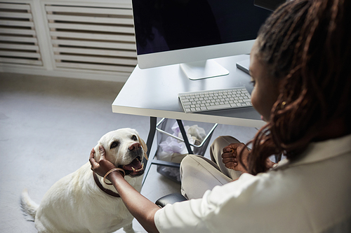 High angle view at young African-American woman petting dog while working in pet friendly office, copy space