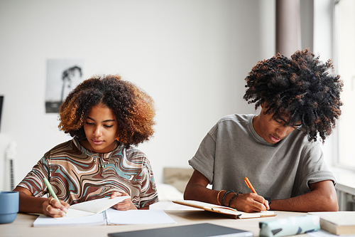 Front view portrait of two African-American teenagers studying at home together, copy space