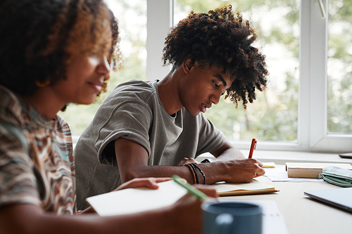 Side view portrait of two African-American teenagers studying at home together, copy space