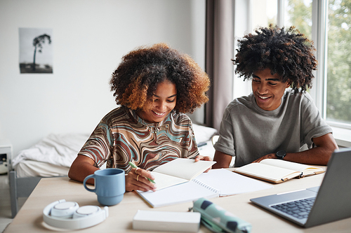 Portrait of smiling brother and sister studying together at home, copy space