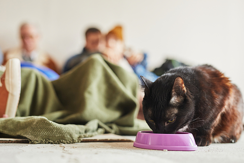 Portrait of little black cat eating from bowl in refugee shelter with family in background, copy space
