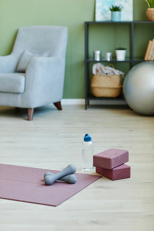 Part of living-room in modern flat or house with sports gear on the floor and armchair, shelf and fitness ball on background