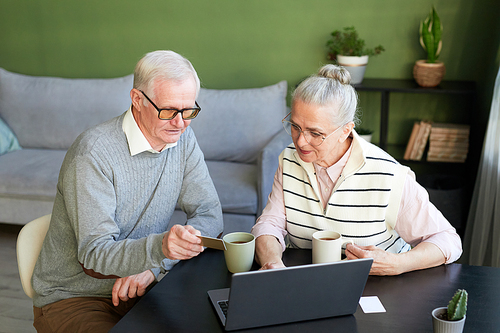 Contemporary senior couple with drinks sitting by table in front of laptop in living-room and ordering goods in online shop