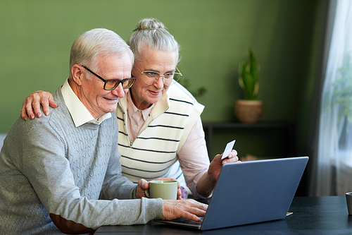 Happy senior husband and wife looking at laptop screen while ordering takeaway food or other goods in online shop