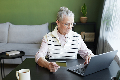 Contemporary senior female in casual clothes looking at laptop screen while making online payment for food products from supermarket
