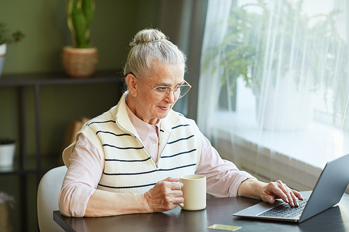 Senior female in casualwear sitting by table, having tea and looking at laptop screen while shopping online or searching in the net