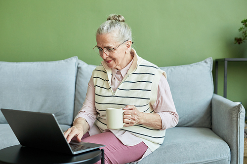 Contemporary senior female in casual clothes sitting on sofa, having drink and networking in front of laptop in living-room