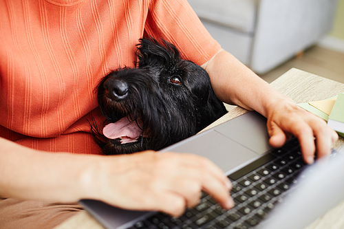 Close-up of owner doing her online work on laptop at table with dog sitting nearby her
