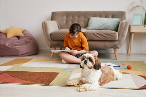 Portrait of cute small dog lying on carpet at home with teenage girl in background, copy space