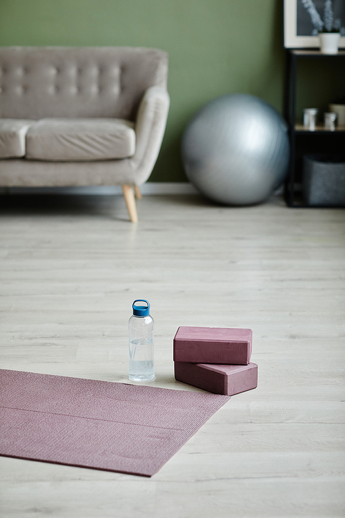 Vertical background image of home interior with yoga mat on floor, indoor workout concept, copy space