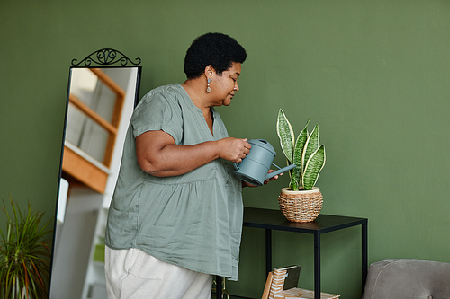 Waist up portrait of black senior woman watering houseplants at home, copy space
