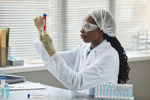 Side view portrait of young black woman working in science laboratory and holding test tube with red liquid, copy space