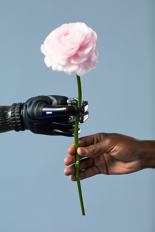 Close-up of African man giving flower to woman with disability against blue background