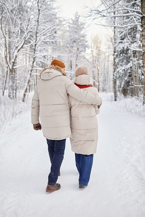 Vertical back view of adult couple enjoying walk in winter forest and embracing tenderly