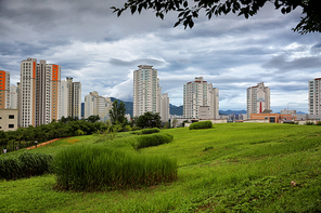 뒷동산