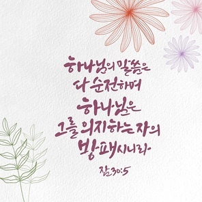 캘리그라피,일러스트, 성경구절,성구,성경,말씀