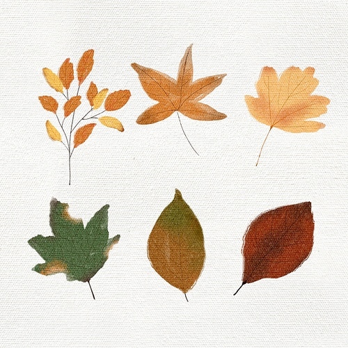 일러스트,낙엽일러스트,가을,가을일러스트,가을이미지