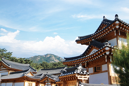 한국의 전통과 문화를 보여주는 건축물 집