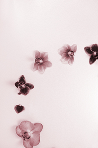 분홍배경에 꽃 연출과 카피공간