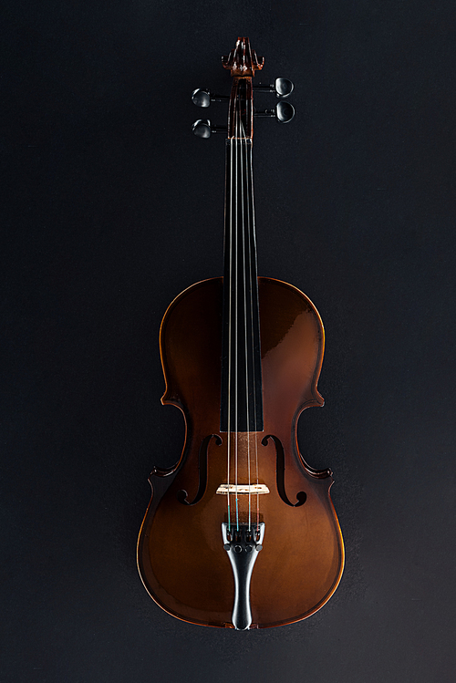 top view of classical cello in darkness on black background