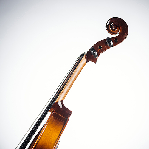 close up of classic violoncello on white background