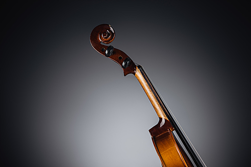 close up of classic violoncello on dark background