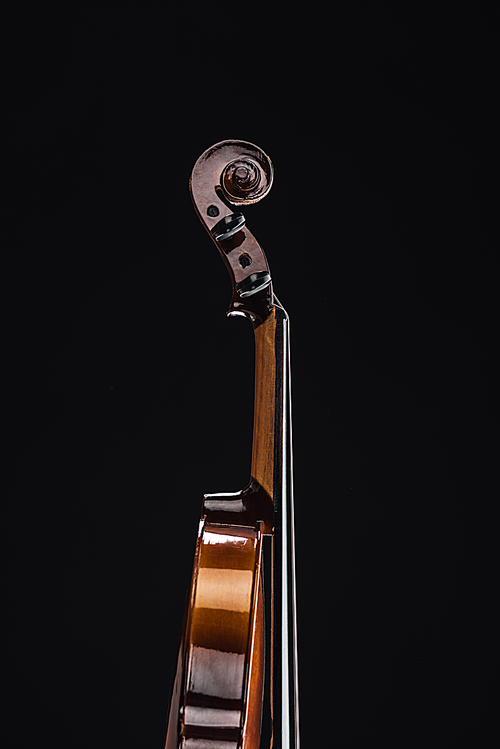 close up of classic wooden cello isolated on black