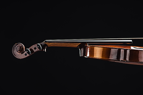 close up of classic wooden violoncello isolated on black