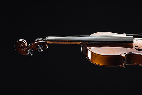 close up of classical wooden violoncello isolated on black