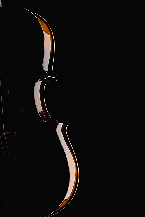 close up of classical wooden violoncello in darkness isolated on black