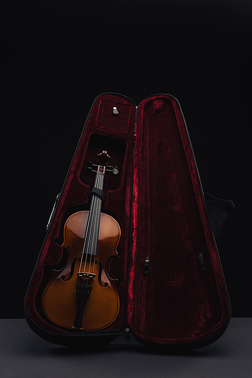 classic wooden double bass in opened case isolated on black