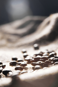 Selective focus of roasted coffee grains on sackcloth texture