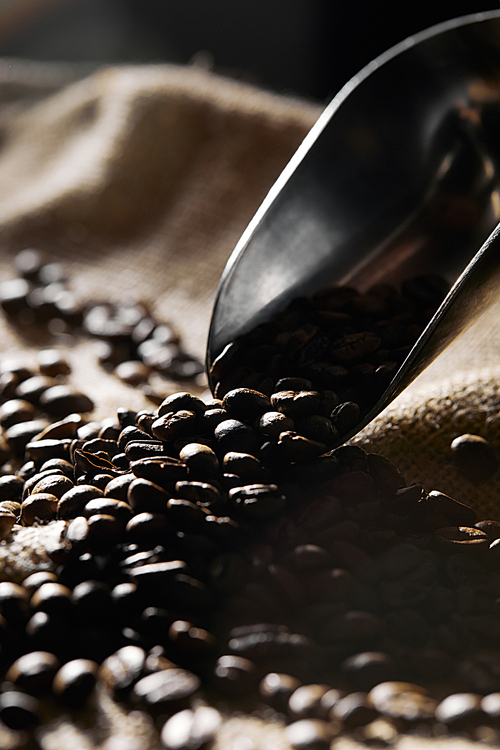 Selective focus of coffee grains and steel scoop on sackcloth