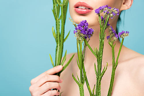 cropped view of naked girl holding limonium flowers isolated on blue