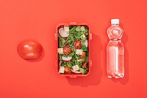 top view of apple, bottle with water and lunch box on red background