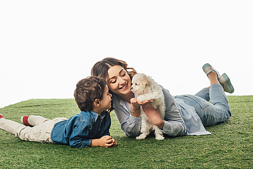 smiling mother and son looking at Havanese puppy isolated on white