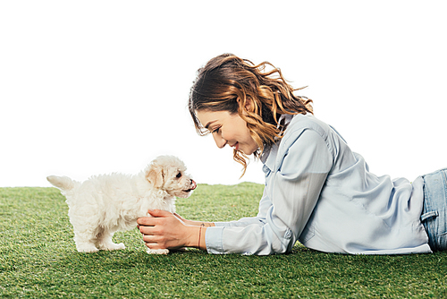 side view of smiling woman looking at Havanese puppy isolated on white