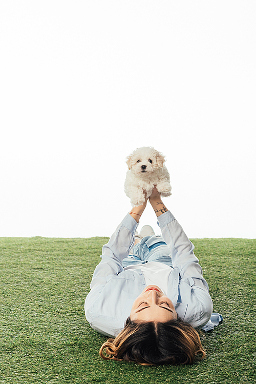 woman lying on grass and holding Havanese puppy isolated on white