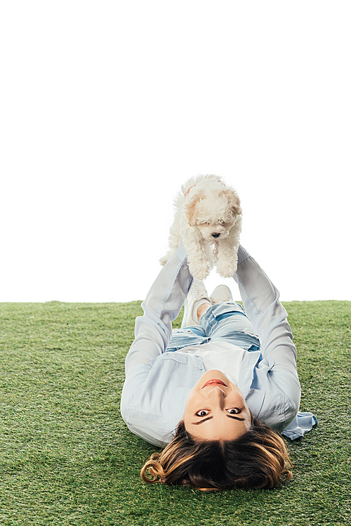 smiling woman lying on grass and holding Havanese puppy isolated on white