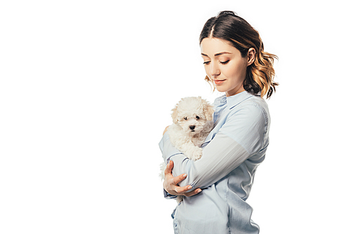 attractive woman holding cute Havanese puppy isolated on white