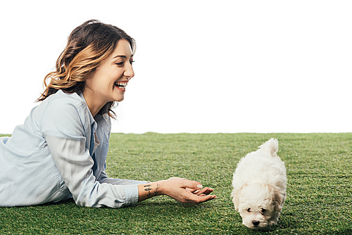 smiling woman with Havanese puppy lying on grass isolated on white