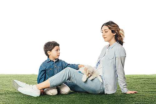 mother sitting on grass and son stroking Havanese puppy isolated on white