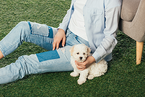 cropped view of woman with Havanese puppy sitting on grass