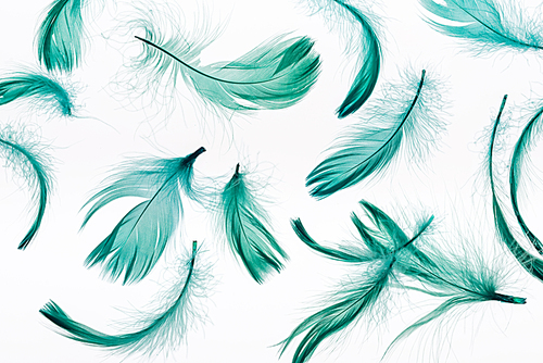 seamless background with bright green soft feathers isolated on white