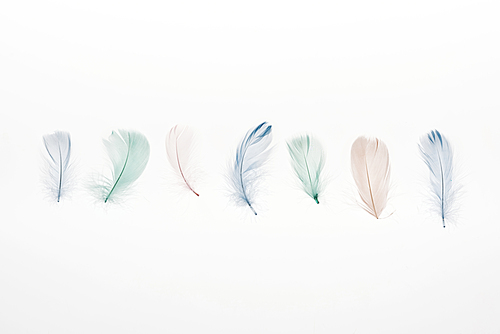 multicolored lightweight feathers isolated on white