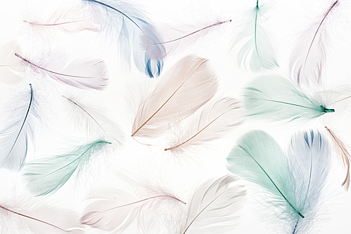 seamless background with multicolored light beige, green and blue feathers isolated on white
