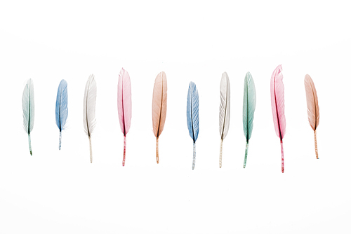 row of multicolored lightweight feathers isolated on white