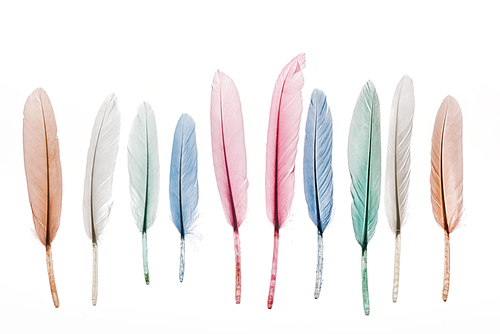 multicolored lightweight feathers in row isolated on white