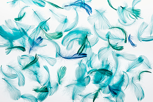 seamless background with multicolored green and blue lightweight feathers isolated on white